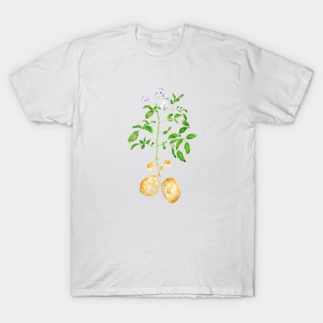 potato plant watercolor T-Shirt by colorandcolor